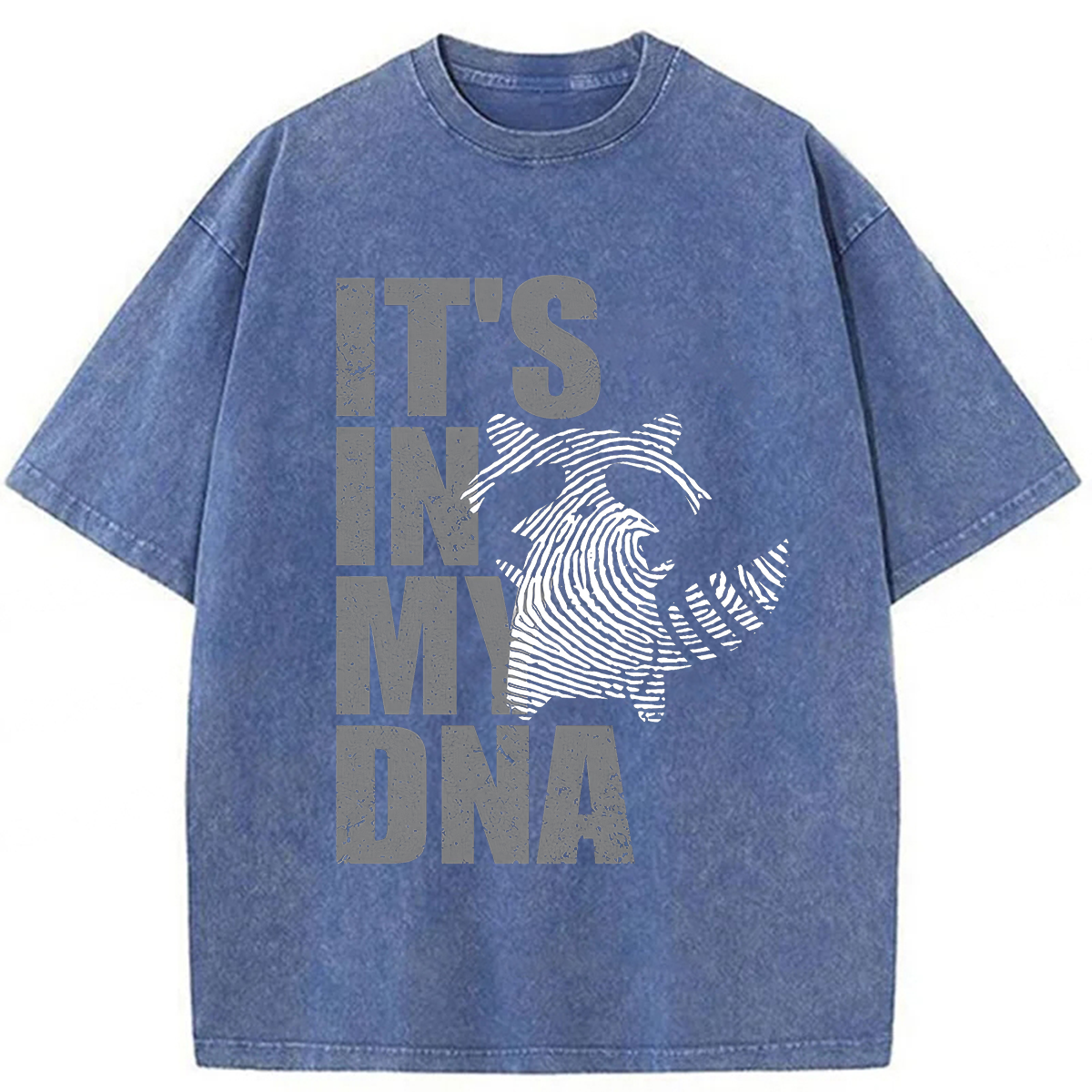 Tokyoviva Raccoon It's In My DNA Washed T-shirt