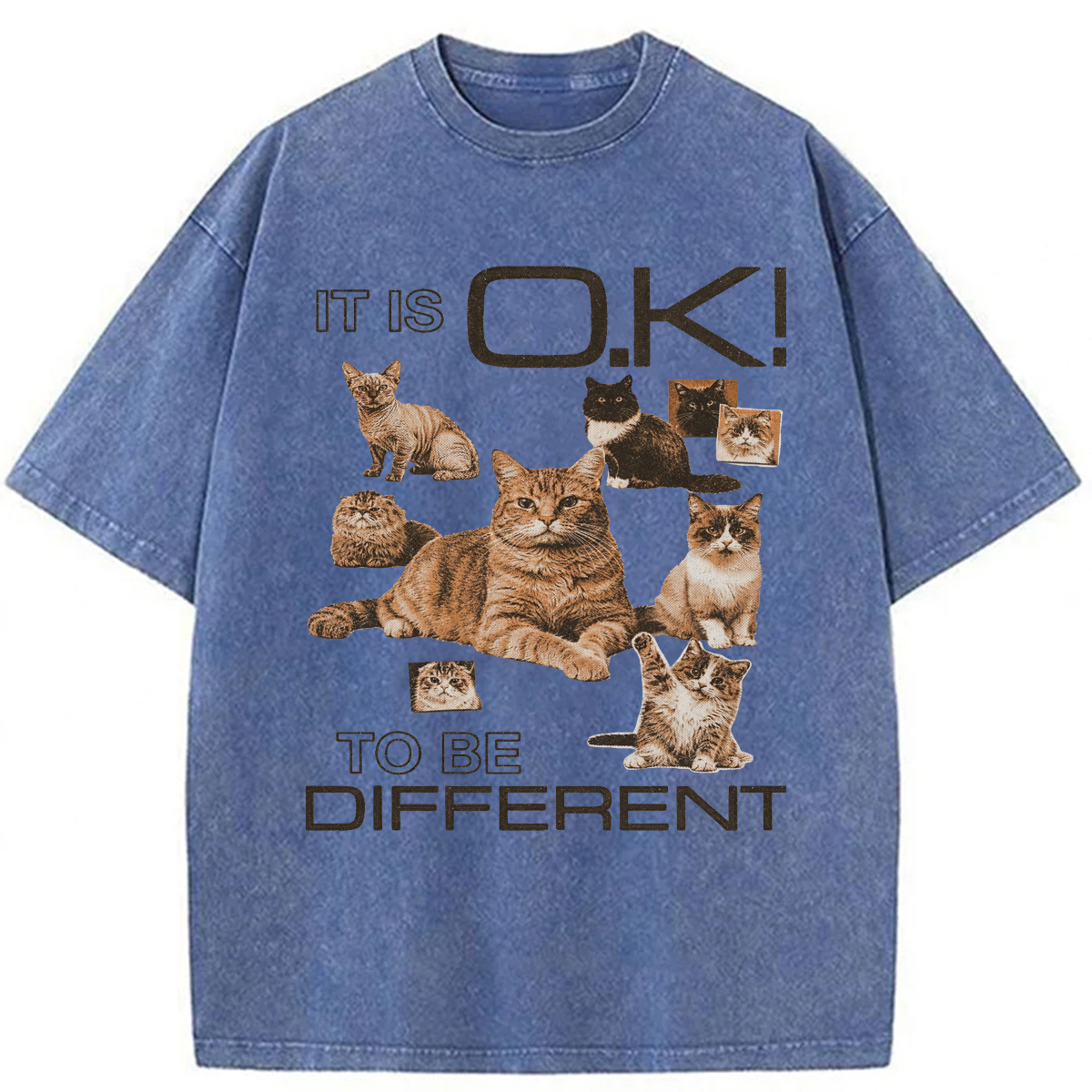 Tokyoviva Cat It's Ok To Be Different Washed T-shirt
