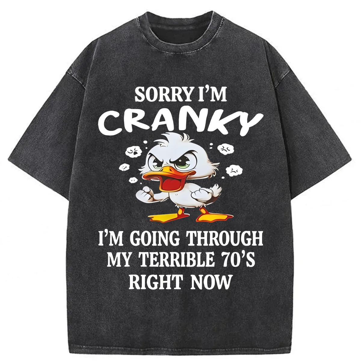 Tokyoviva Sorry I'm Cranky Washed T-shirt