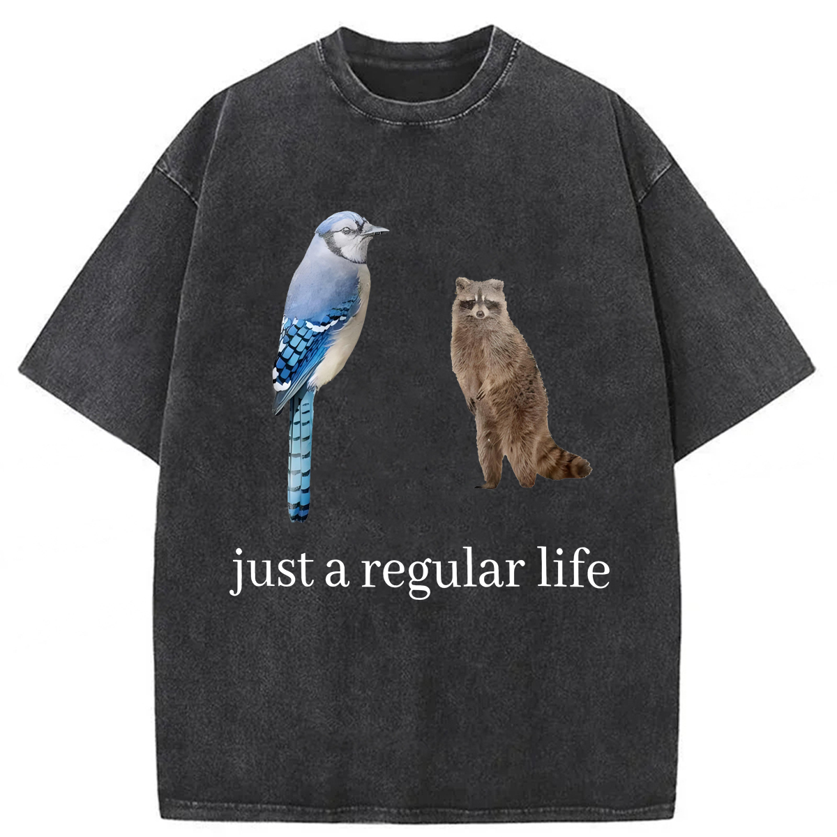 Tokyoviva Just A Regular Life Washed T-shirt