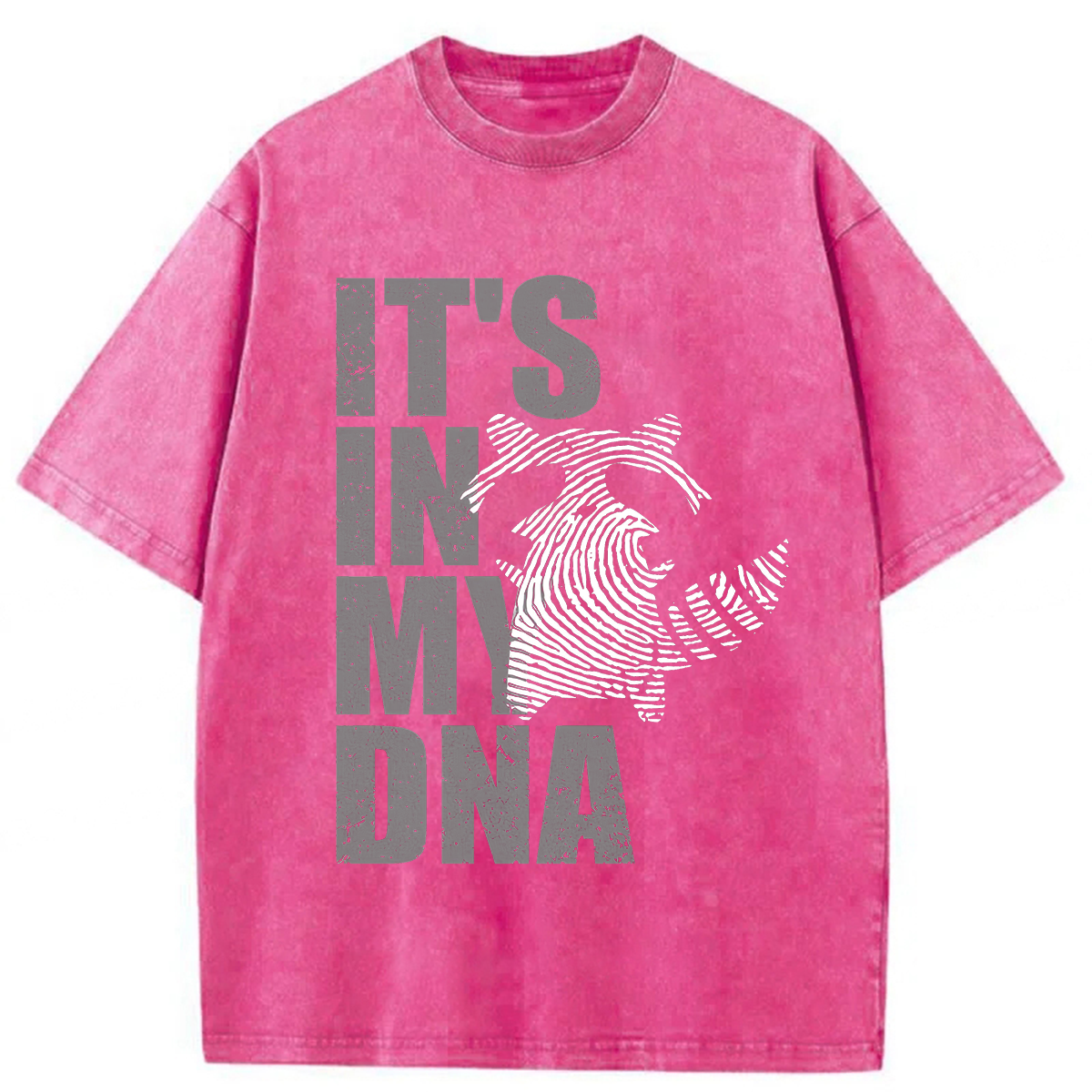Tokyoviva Raccoon It's In My DNA Washed T-shirt