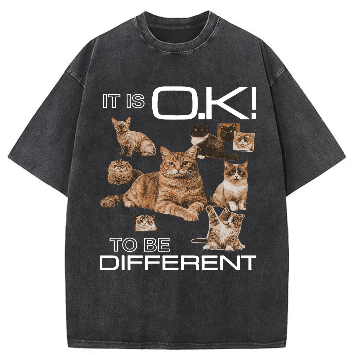 Tokyoviva Cat It's Ok To Be Different Washed T-shirt