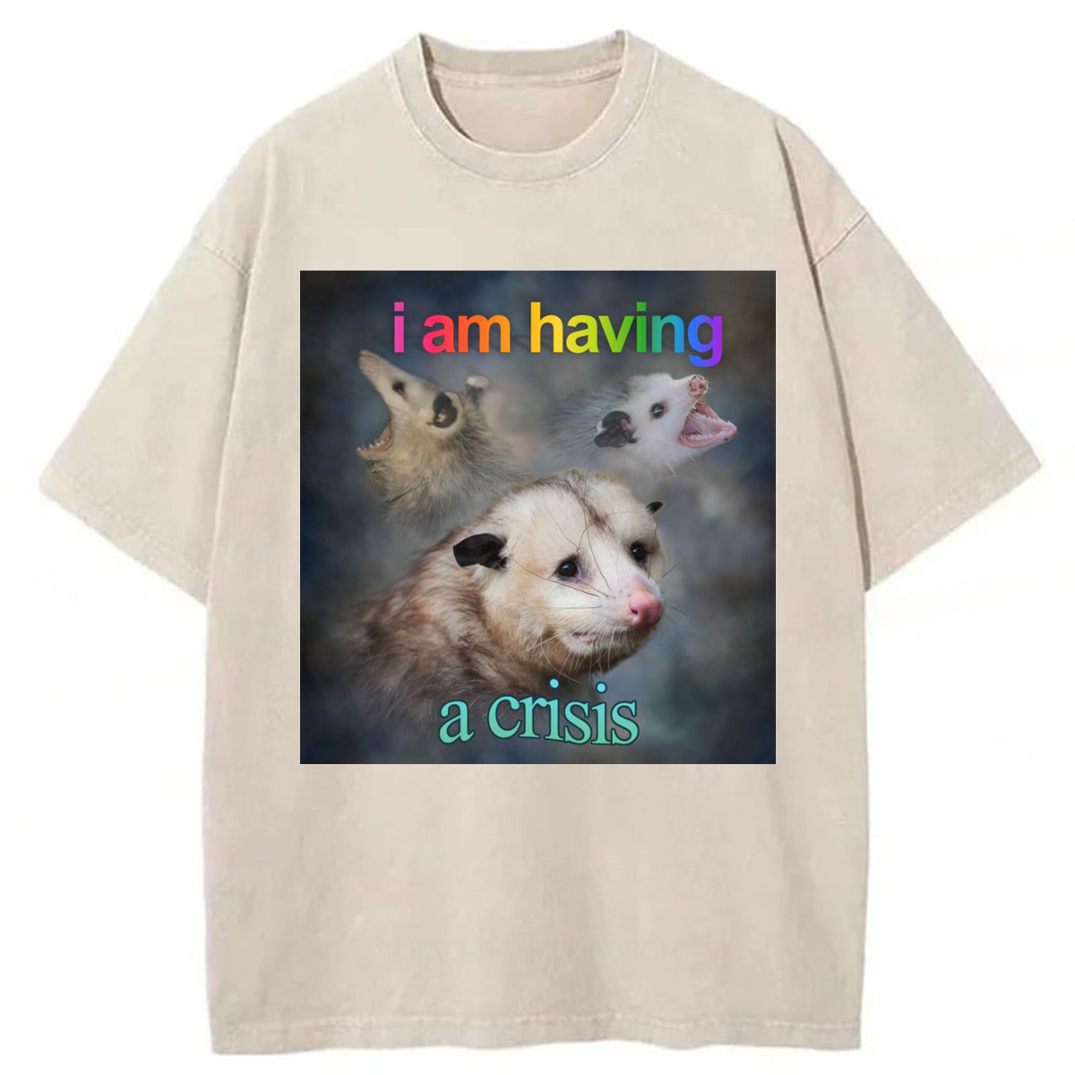 Tokyoviva I Am Having A Crisis Possum Washed T-shirt