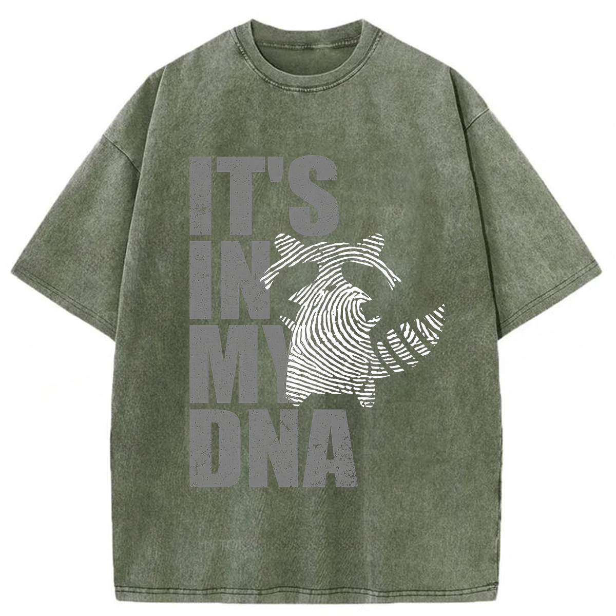Tokyoviva Raccoon It's In My DNA Washed T-shirt