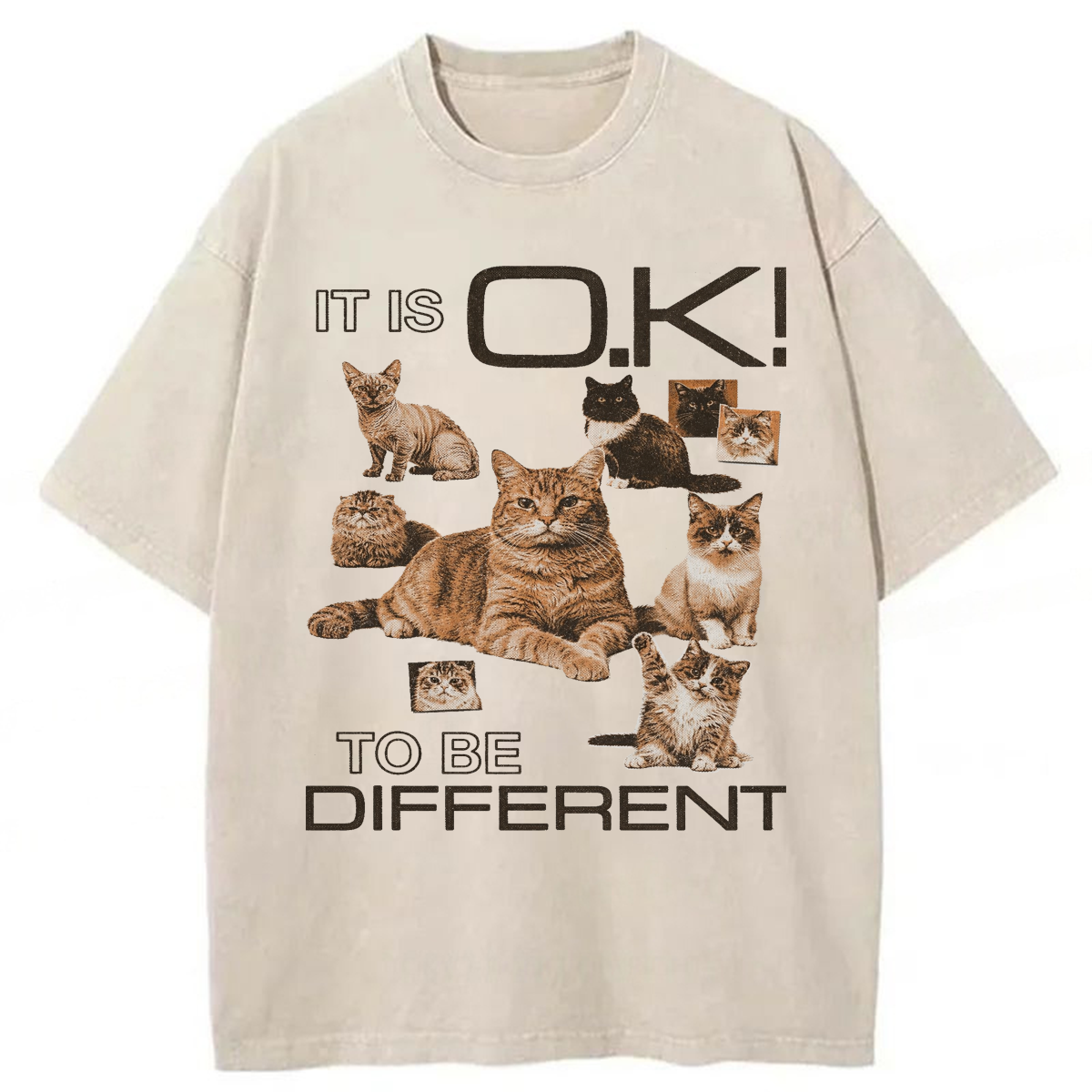Tokyoviva Cat It's Ok To Be Different Washed T-shirt