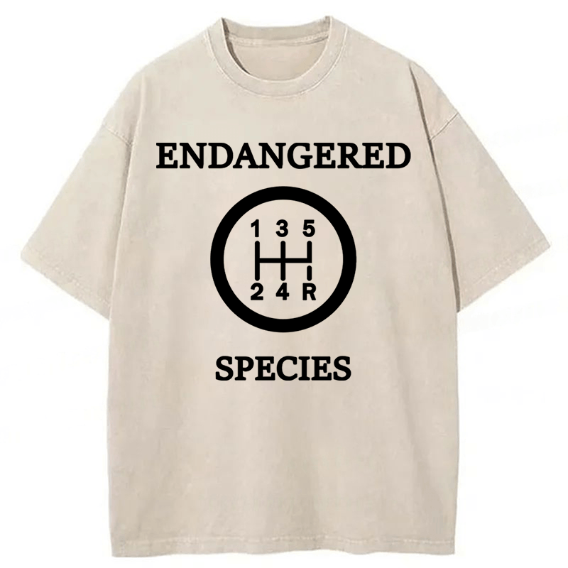 Tokyoviva Saint Believe In Christ Christian Washed T-shirt