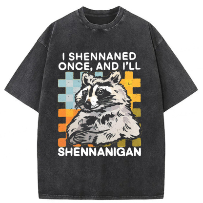 Tokyoviva Mischievous Raccoon Washed T-shirt