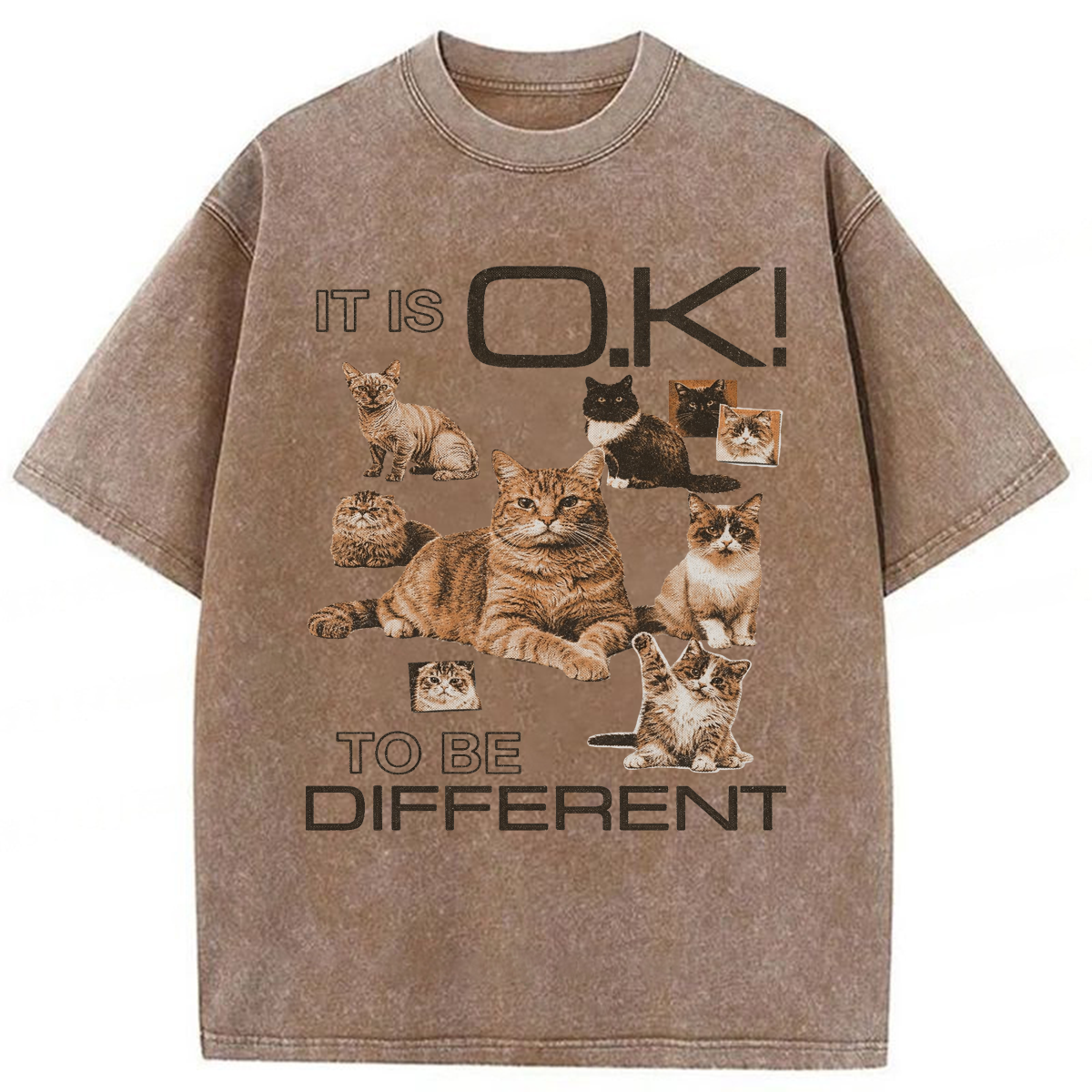 Tokyoviva Cat It's Ok To Be Different Washed T-shirt