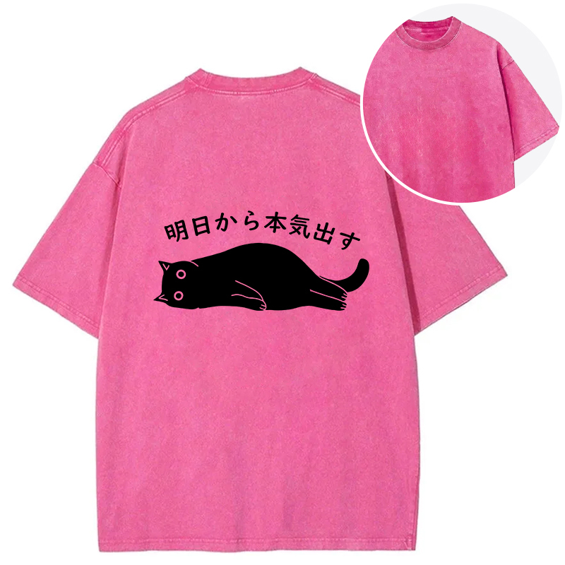 I'm Going To Get Serious Tomorrow Back Washed T-Shirt