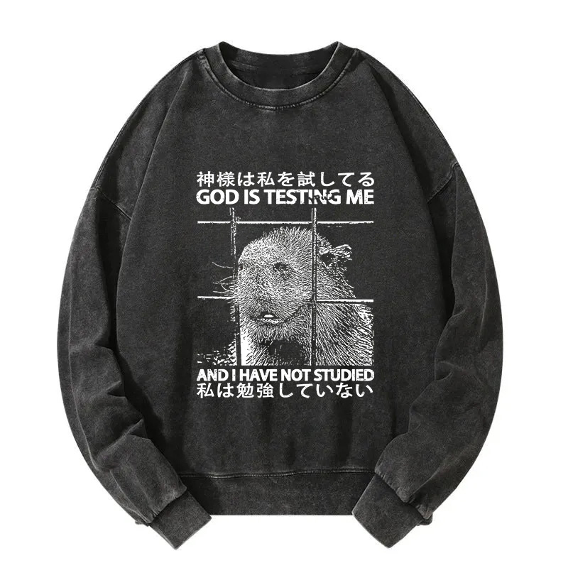 God Is Testing Me Washed Sweatshirt