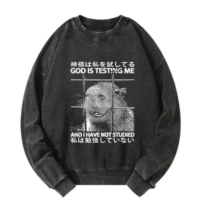 God Is Testing Me Washed Sweatshirt