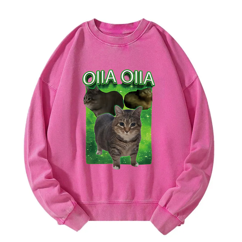 Oiia Cat Funny Meme Washed Sweatshirt
