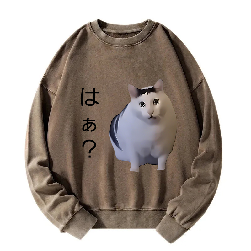 Suspicious Funny Cat Washed Sweatshirt
