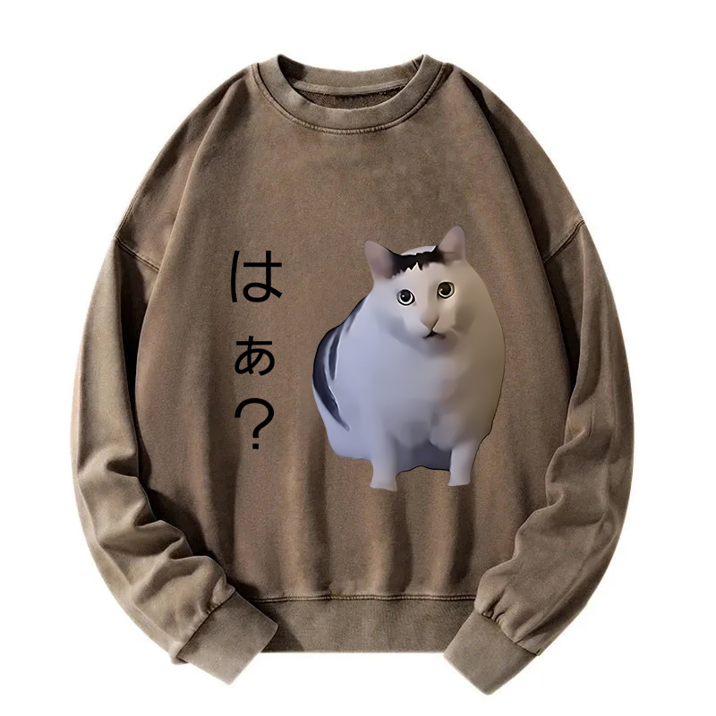 Suspicious Funny Cat Washed Sweatshirt