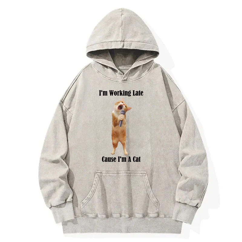 The Singing Cat Washed Hoodie