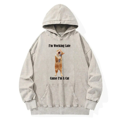 The Singing Cat Washed Hoodie