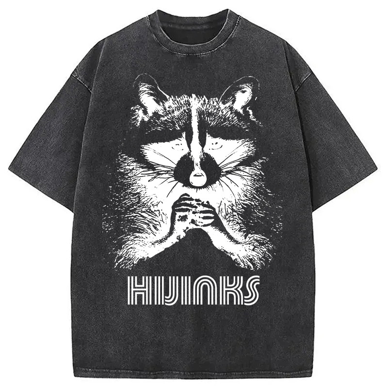 Raccoon Hijinks Washed T-Shirt