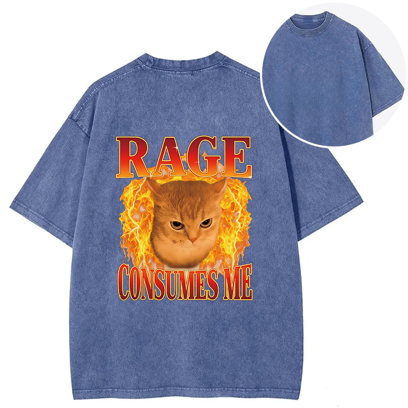 Rage Consumes Me Edgy Funny Cat Meme Back Washed T-Shirt