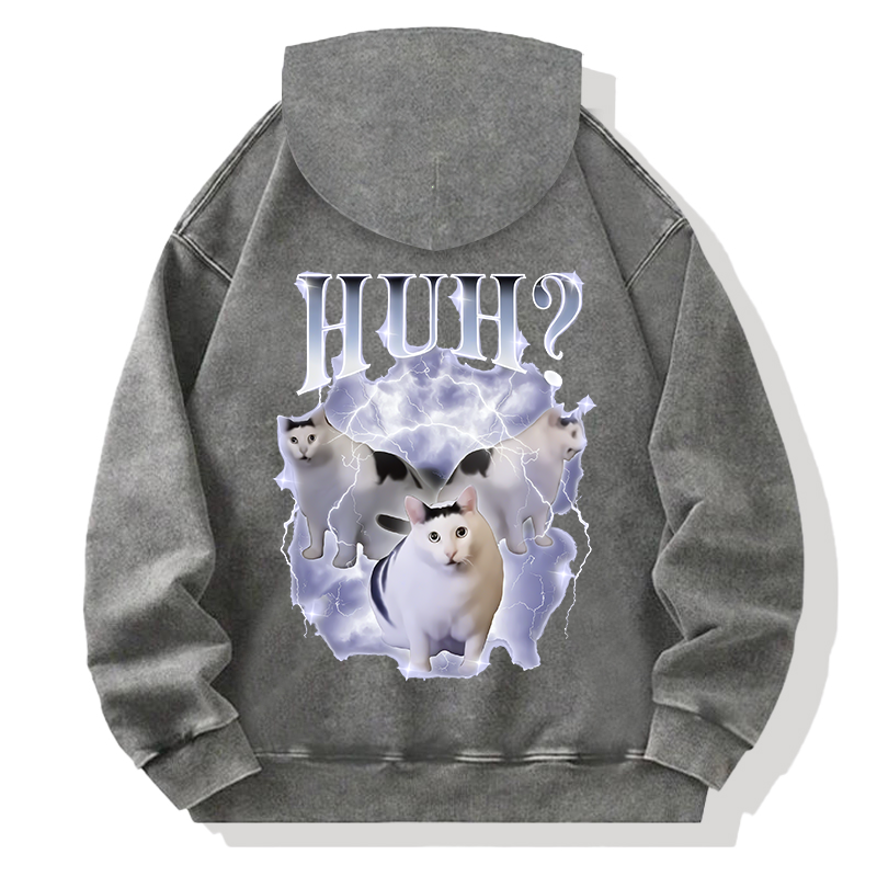 Huh Cat Chonky Ben Meme Back Washed Hoodie