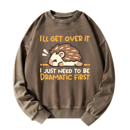 Dramatic Hedgehog Washed Sweatshirt