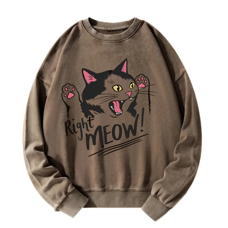 Right Meow Funny Cat Meme Washed Sweatshirt
