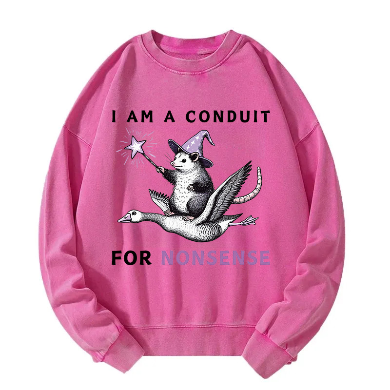 Opossum Riding Flying Goose Washed Sweatshirt