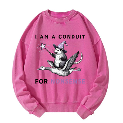 Opossum Riding Flying Goose Washed Sweatshirt