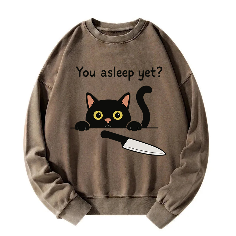 Cat With Murderous Intent Washed Sweatshirt