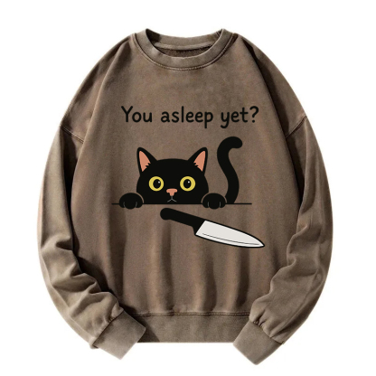 Cat With Murderous Intent Washed Sweatshirt