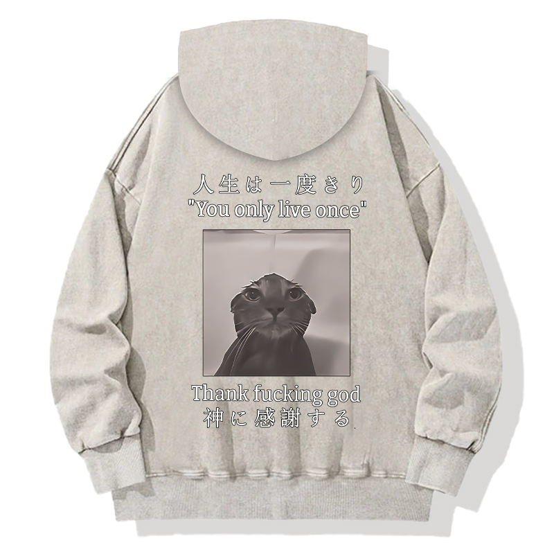Funny Melancholy Cat Back Washed Hoodie