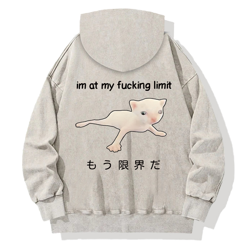 Cat Reaching Its Limit Back Washed Hoodie