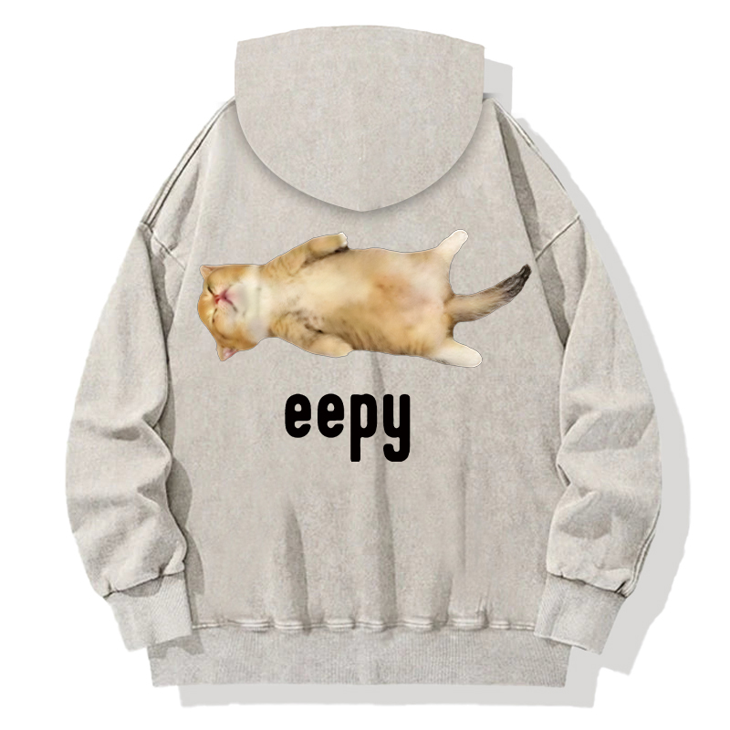Silly Sleepy Cat Meme Back Washed Hoodie