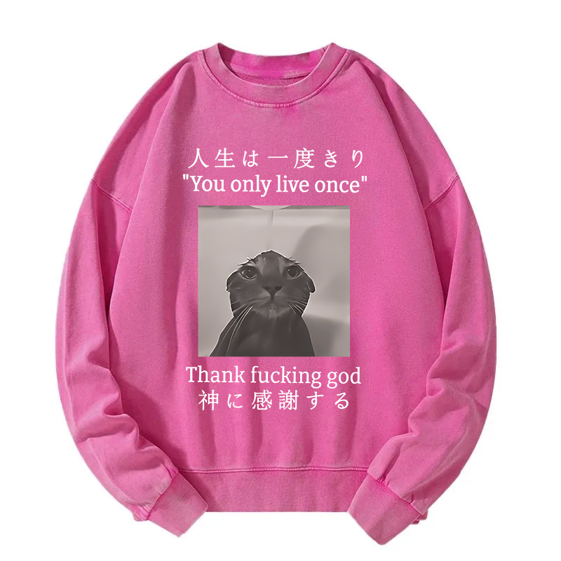 Funny Melancholy Cat Washed Sweatshirt