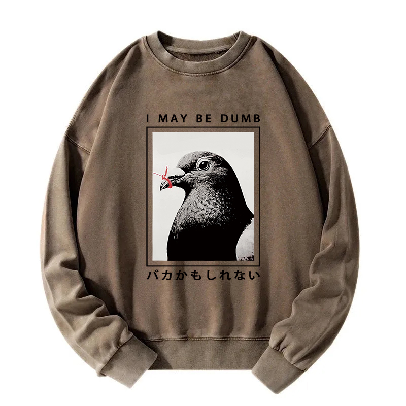 I May Be Dumb Funny Washed Sweatshirt