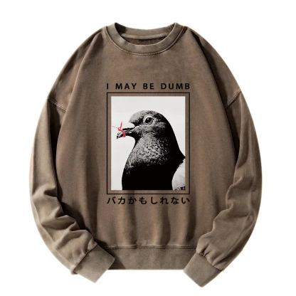 I May Be Dumb Funny Washed Sweatshirt