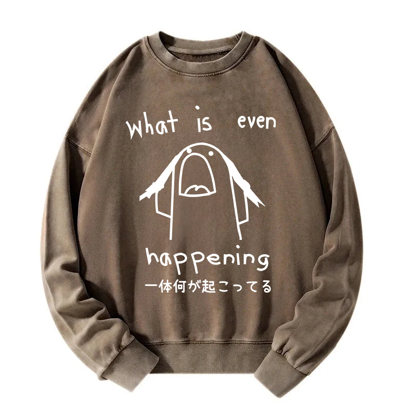 What Is Even Happening Washed Sweatshirt