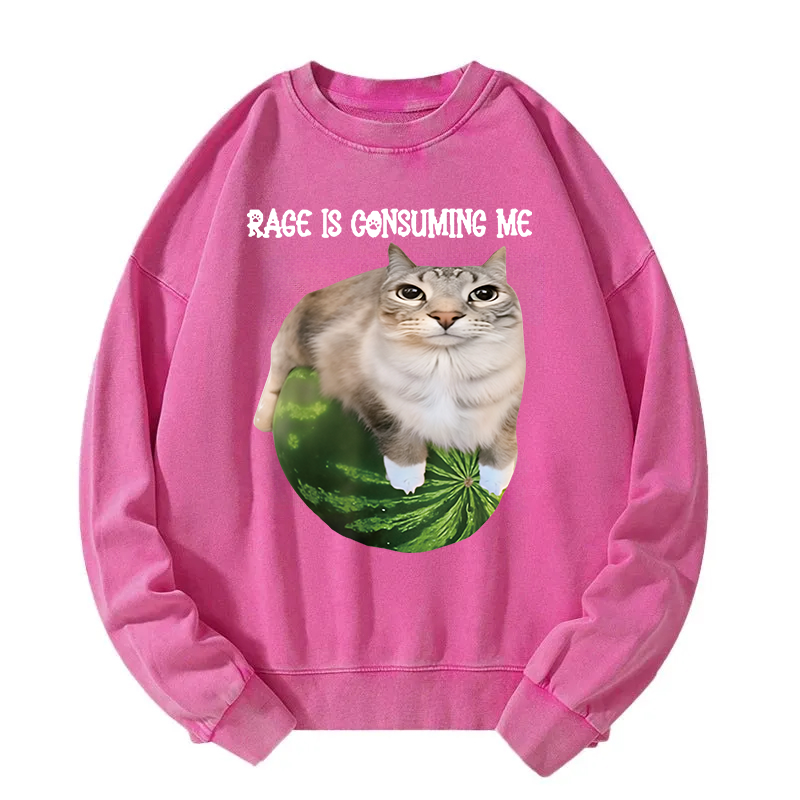 Rage Is Consuming Me Cat Meme Washed Sweatshirt