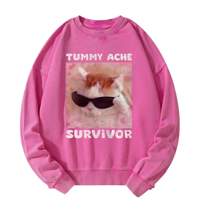 Tummy Ache Survivor Funny Cat Meme Washed Sweatshirt