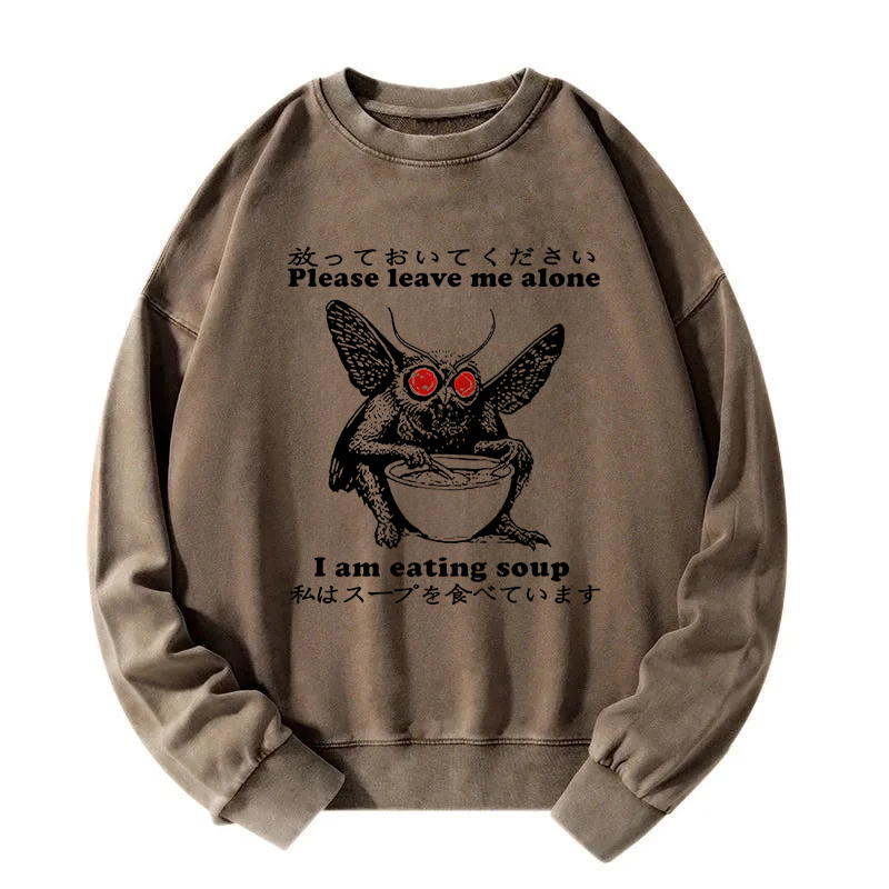 Don't Bother The Mothman Washed Sweatshirt