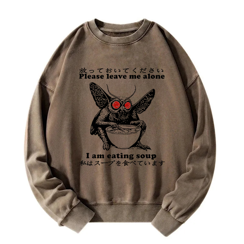 Don't Bother The Mothman Washed Sweatshirt