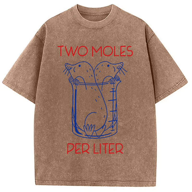 Two Moles Per Liter Washed T-Shirt