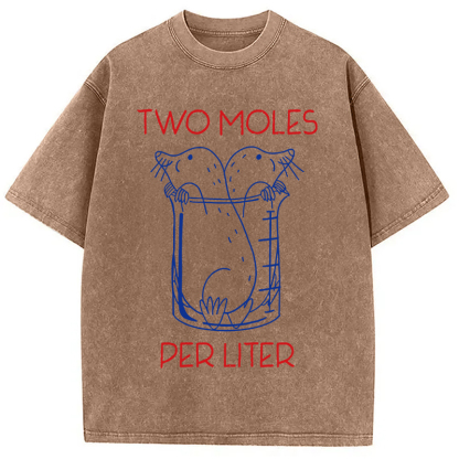 Two Moles Per Liter Washed T-Shirt