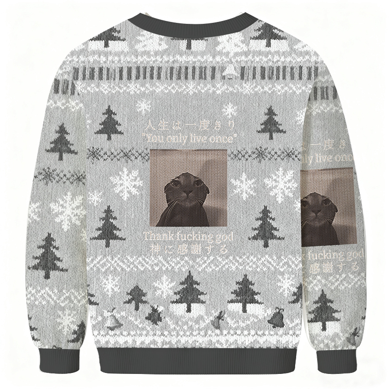 Funny Melancholy Cat Christmas Ugly Sweatshirt