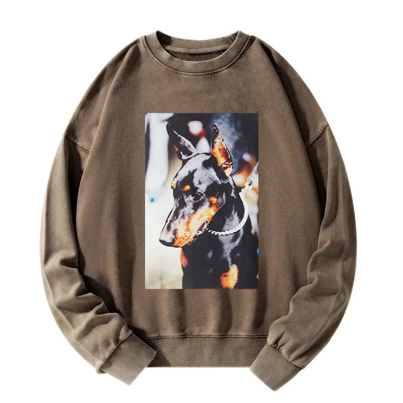 Doberman Pinscher Washed Sweatshirt
