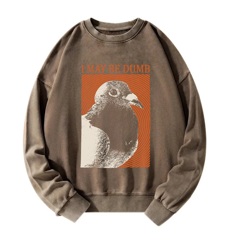 I May Be Dumb Washed Sweatshirt
