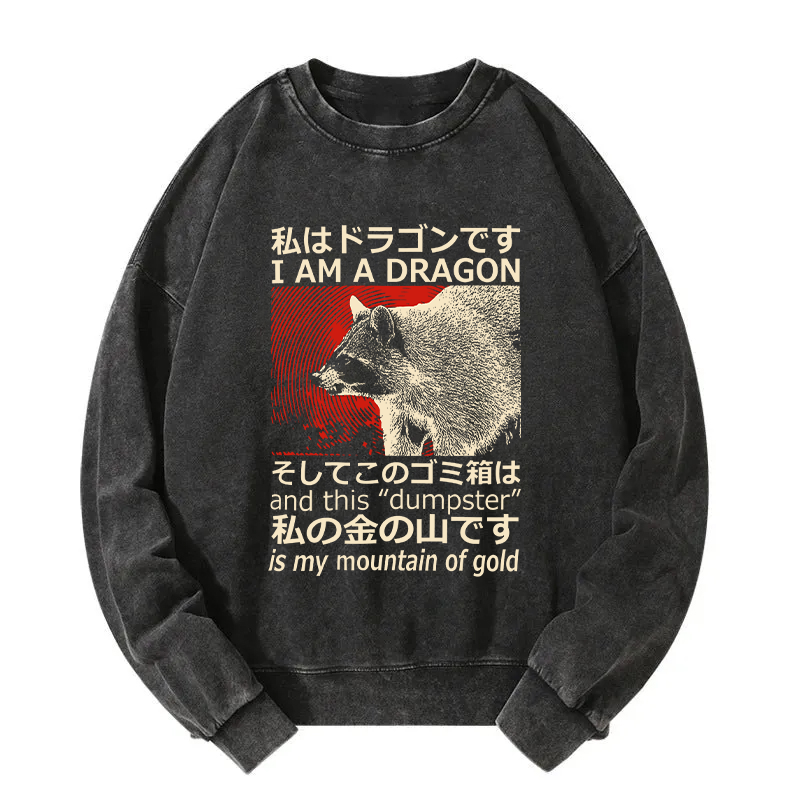 I'm A Dragon and this "Dumpster" is My Mountain of Gold Washed Sweatshirt