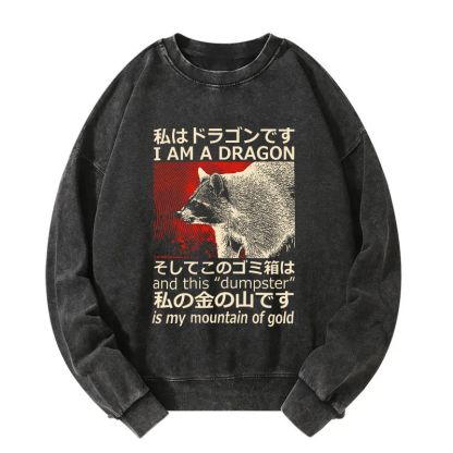 I'm A Dragon and this "Dumpster" is My Mountain of Gold Washed Sweatshirt