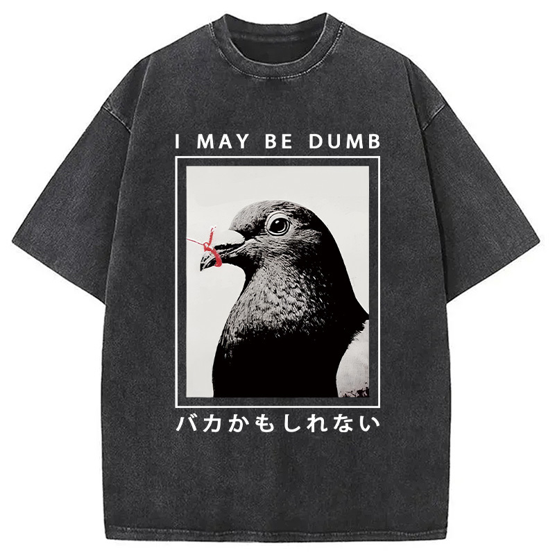I May Be Dumb Funny Washed T-Shirt