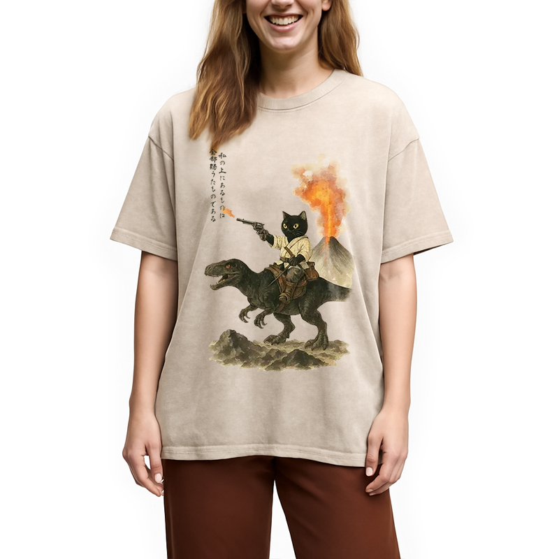 Cat Riding A Dinosaur Washed T-Shirt