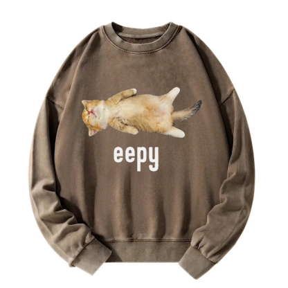 Silly Sleepy Cat Meme Washed Sweatshirt